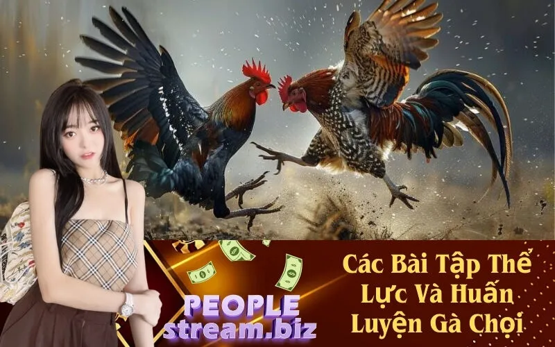 Các Bài Tập Thể Lực Và Huấn Luyện Gà Chọi