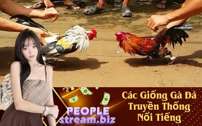 Các Giống Gà Đá Truyền Thống Nổi Tiếng
