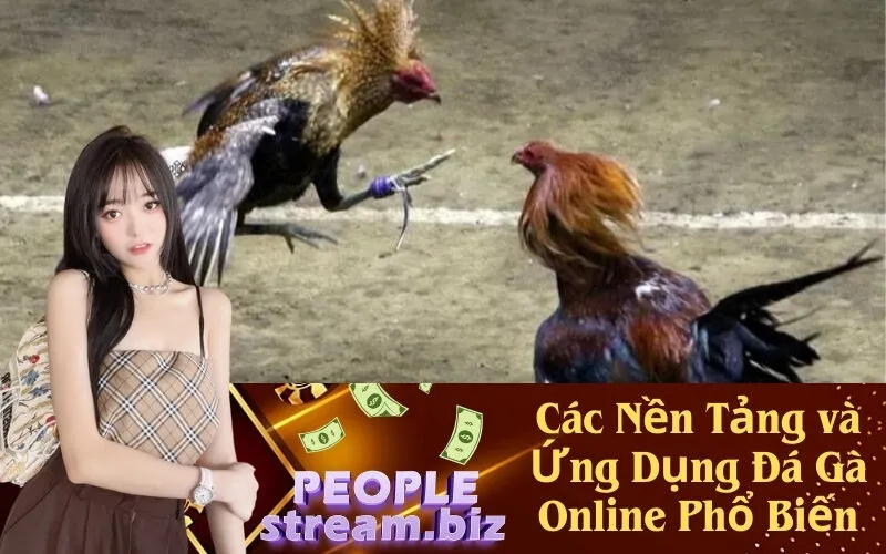 Các Nền Tảng và Ứng Dụng Đá Gà Online Phổ Biến