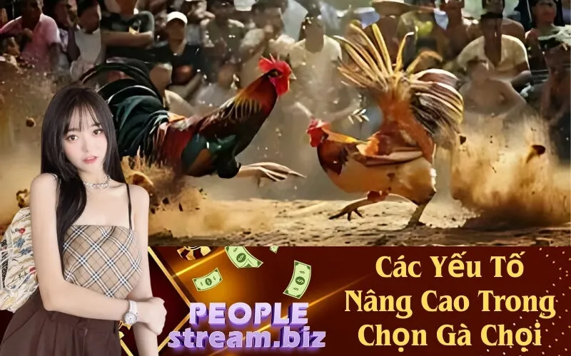 Các Yếu Tố Nâng Cao Trong Chọn Gà Chọi