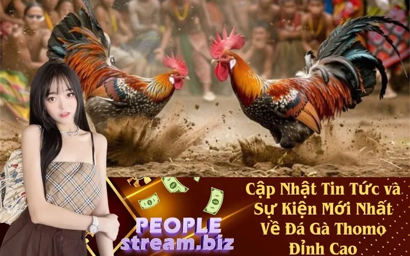 Cập Nhật Tin Tức và Sự Kiện Mới Nhất Về Đá Gà Thomo Đỉnh Cao