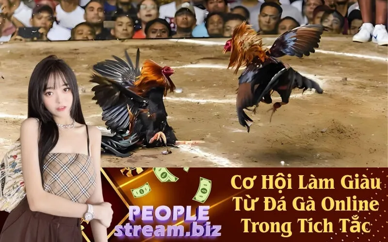 Cơ Hội Làm Giàu Từ Đá Gà Online Trong Tích Tắc