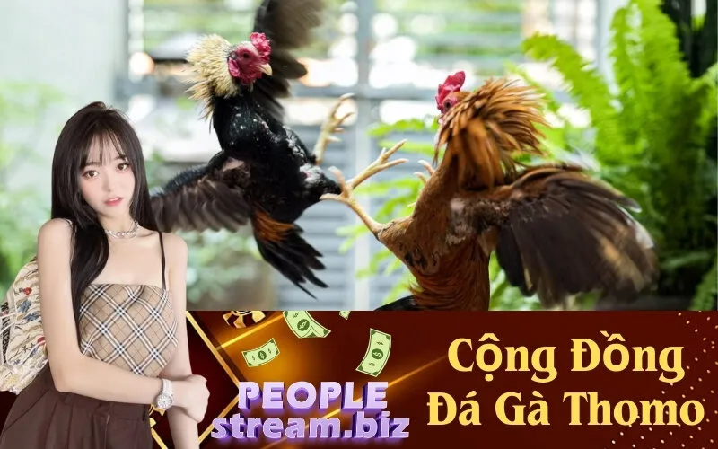 Cộng Đồng Đá Gà Thomo