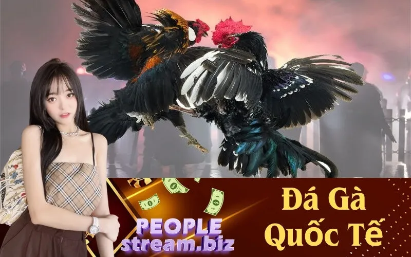 Đá Gà Quốc Tế