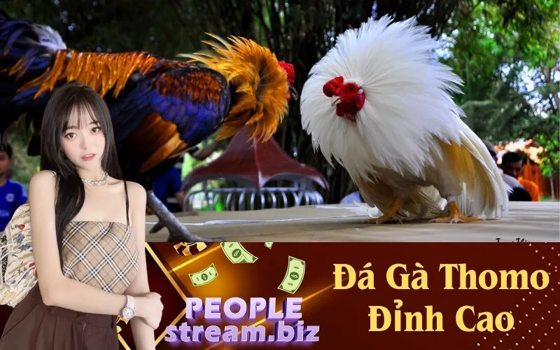 Đá Gà Thomo Đỉnh Cao