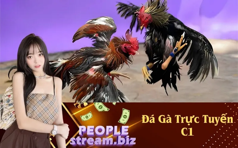 Đá Gà Trực Tuyến C1