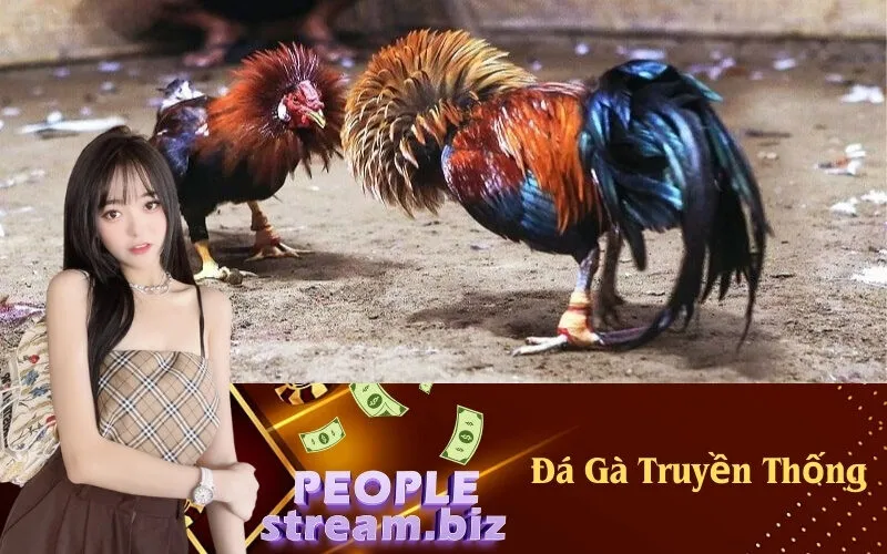 Đá Gà Truyền Thống