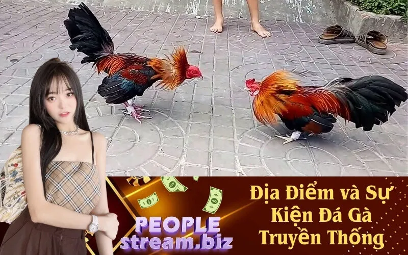 Địa Điểm và Sự Kiện Đá Gà Truyền Thống