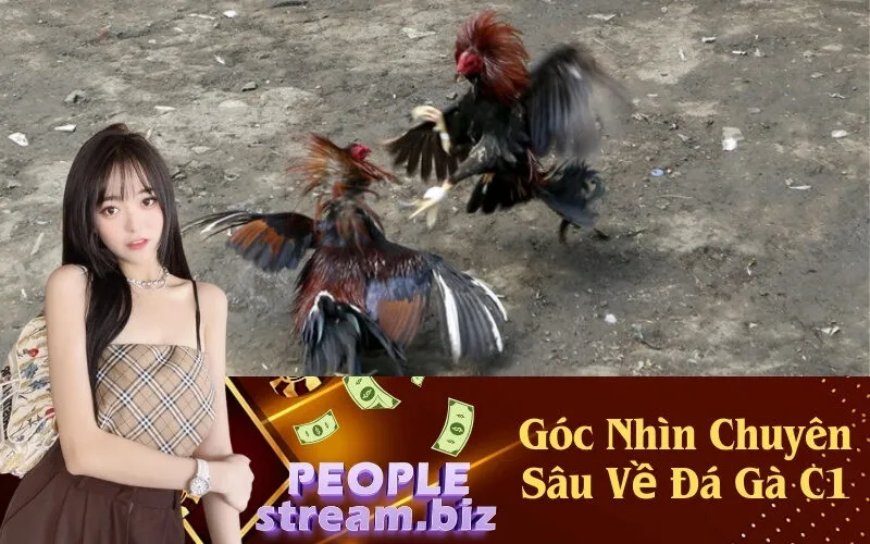 Góc Nhìn Chuyên Sâu Về Đá Gà C1