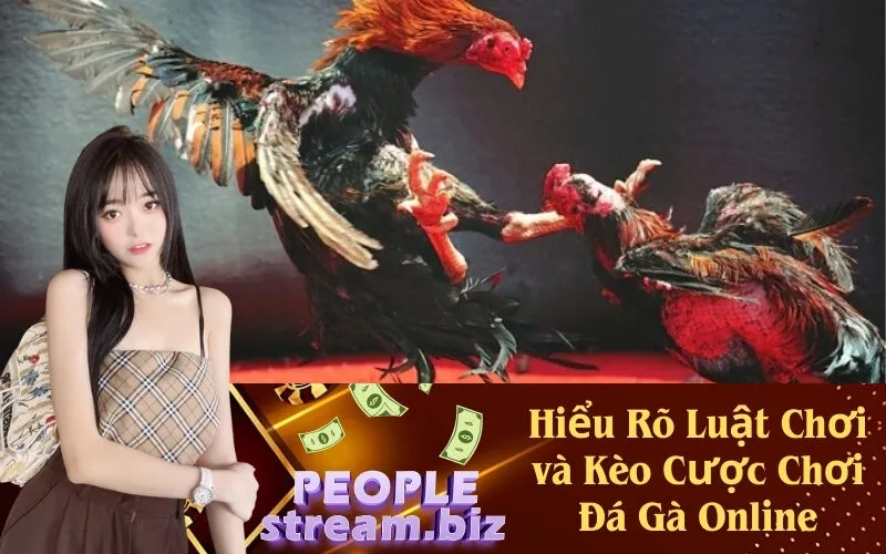 Hiểu Rõ Luật Chơi và Kèo Cược Chơi Đá Gà Online