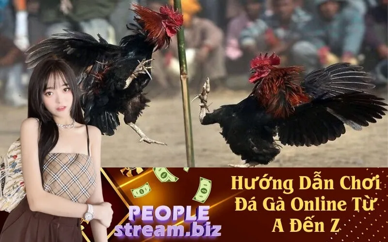 Hướng Dẫn Chơi Đá Gà Online Từ A Đến Z