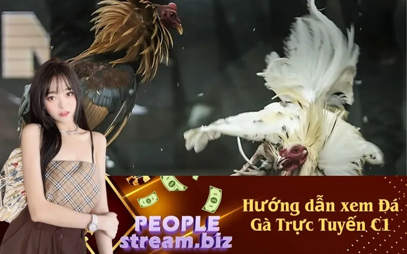 Hướng dẫn xem Đá Gà Trực Tuyến C1