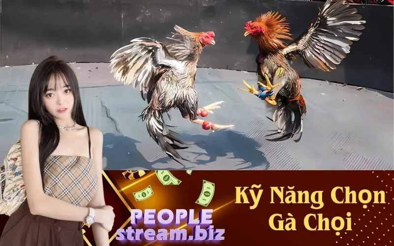Kỹ Năng Chọn Gà Chọi