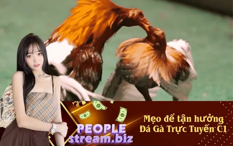 Mẹo để tận hưởng Đá Gà Trực Tuyến C1