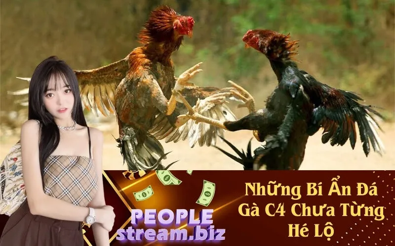 Những Bí Ẩn Đá Gà C4 Chưa Từng Hé Lộ