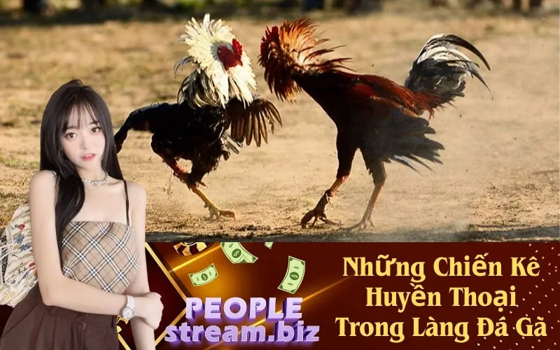 Những Chiến Kê Huyền Thoại Trong Làng Đá Gà