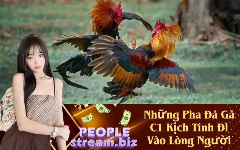 Những Pha Đá Gà C1 Kịch Tính Đi Vào Lòng Người