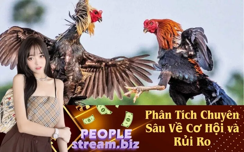 Phân Tích Chuyên Sâu Về Cơ Hội và Rủi Ro