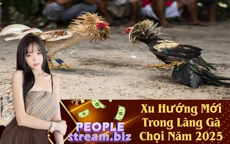 Xu Hướng Mới Trong Làng Gà Chọi Năm 2025