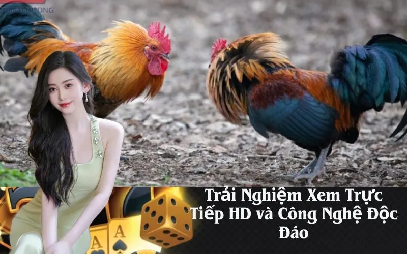 Trải Nghiệm Xem Trực Tiếp HD và Công Nghệ Độc Đáo