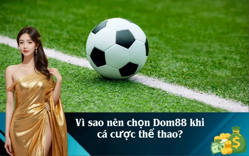 Vì sao nên chọn Dom88 khi cá cược thể thao